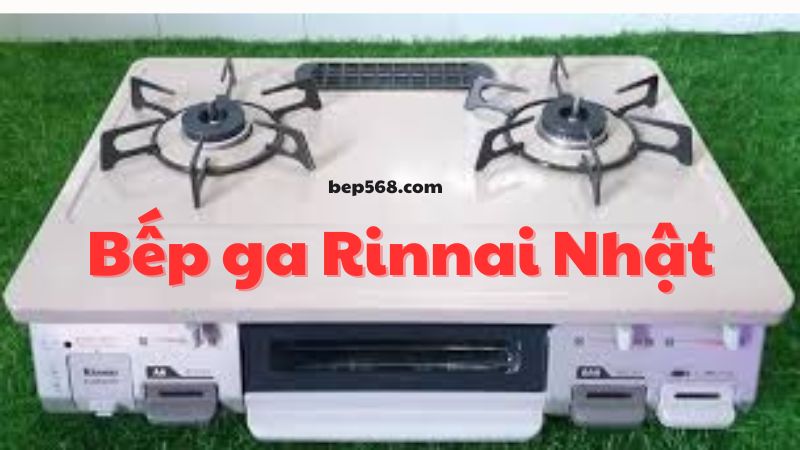 Tại Sao Bếp Ga Rinnai Nhật Là Lựa Chọn Sáng Suốt cho Gia Đình bạn?